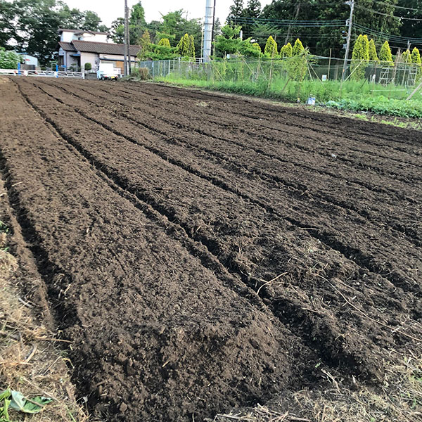 耕作地　川口町