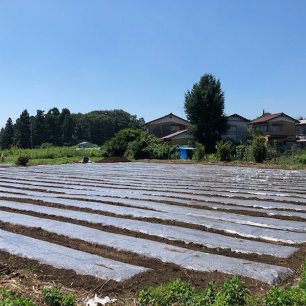 耕作地　川口町