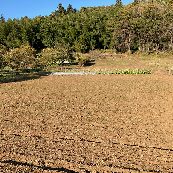 耕作地　上川町