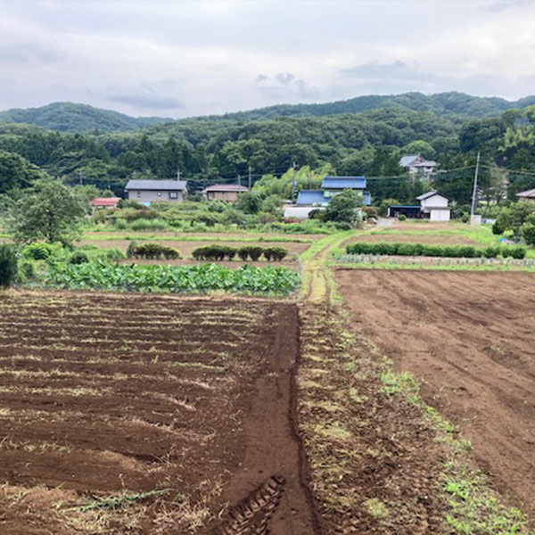 耕作地　上川町